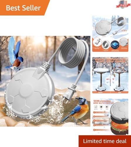 Winter bird bath - winter, heater